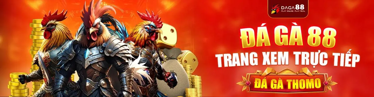 Đá Gà Trực Tuyến B52 Play - Sân đấu kịch tính